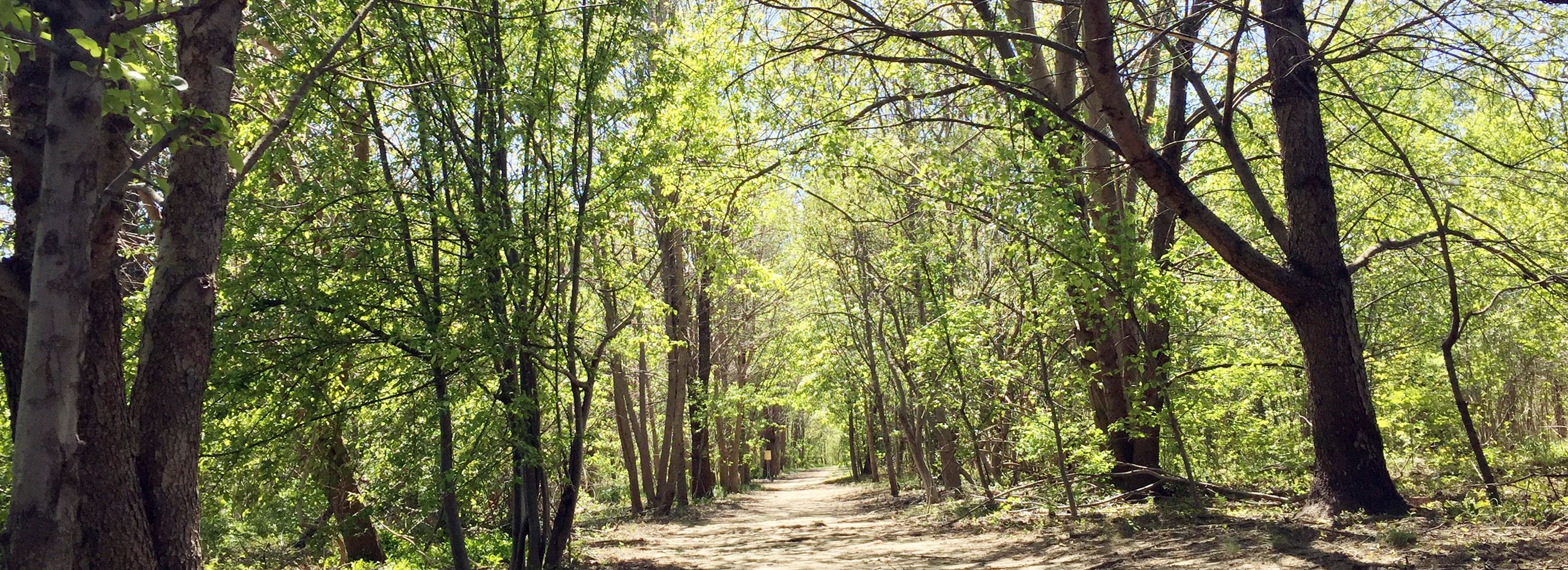 Bortons Mill Trail