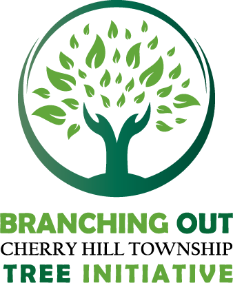 拓展 logo